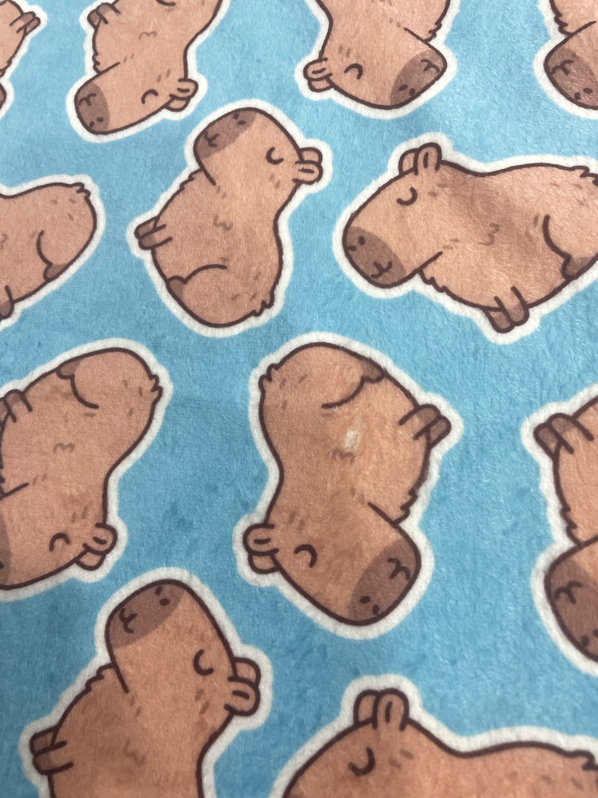 Fleece Mantinha Digital Capivara Capy Blue