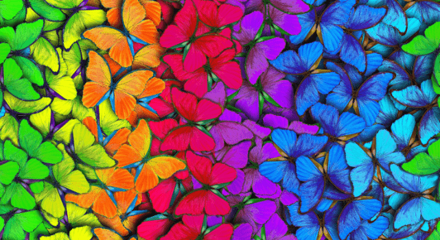 Oxford Digital | Borboletas Multicolor