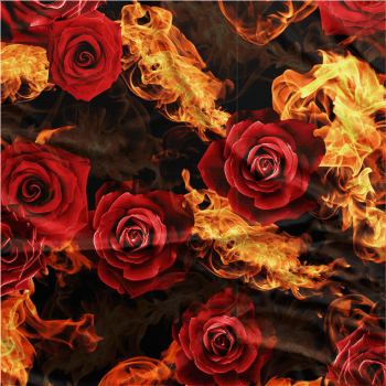 Oxford Digital | Rosas vermelhas e fogo