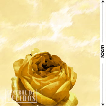 Oxford Digital | Oxum Espelhos Rosas Leques Amarelo
