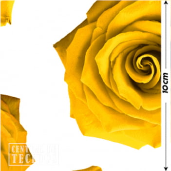 Oxford Digital | Rosas Reais Amarelas