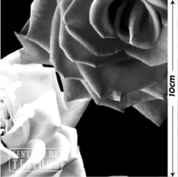Oxford Digital | Rosas Reais Preto e Branco