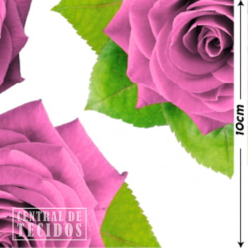 Oxford Digital | Rosas Reais Rosa