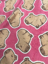 Fleece Mantinha Digital Capivara Capy Love
