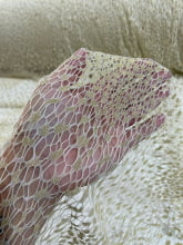 Renda Tela Lurex Bege